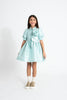 ELIE SAAB RUFFLED ROSE EMBELLISHED TAFFETA DRESS in Seafoam Green