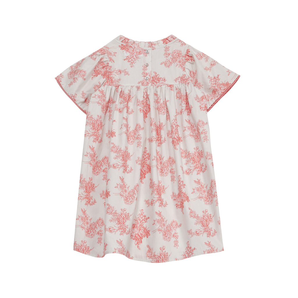 C'ERA UNA VOLTA Leonidas Dress in Toile De Jouy Pink